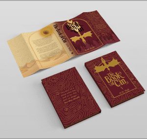 Book Of Cin by H.M. Wolfe